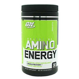 AMINO ENERGY 30 SERVS