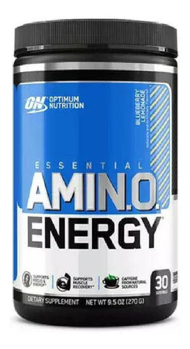 AMINO ENERGY 30 SERVS