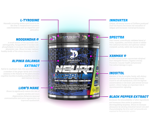 Neuromorph - 40 Servicios