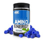 AMINO ENERGY 30 SERVS