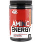 AMINO ENERGY 30 SERVS