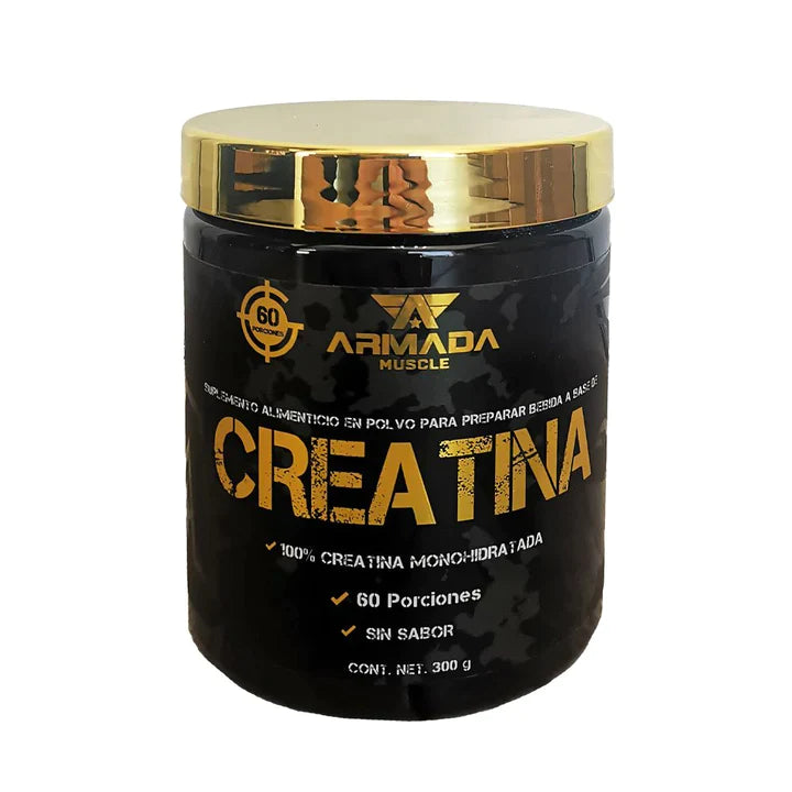 CREATINA ARMADA 300G